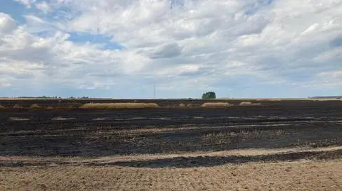 Seria pożarów na zachodzie Polski. Płonęło łącznie 150 hektarów zboża