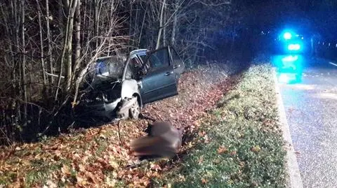 Koń wbiegł na jezdnię i zderzył się z samochodem, pasażer auta nie przeżył