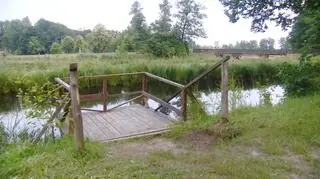 Mężczyzna oddalił się do grupy znajomych w nocy z soboty na niedzielę