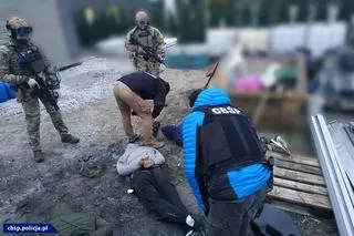 Do zatrzymań doszło w Gorzowie Wielkopolskim i okolicach