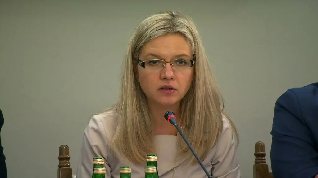 Wassermann: znalazł się pan tutaj dlatego że nie potrafi pan przez 8 godzin powiedzieć co pan robił dla firmy OLT Express
