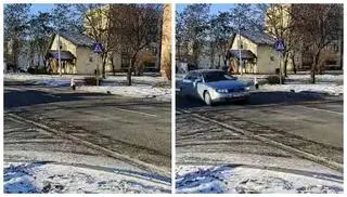 Bocian pojawił się na ulicach Kruszwicy