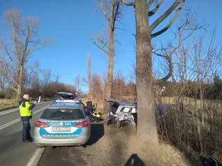 Kierowca uderzył w drzewo