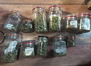 Ponad 2 kg narkotyków w słoikach zamiast przetworów