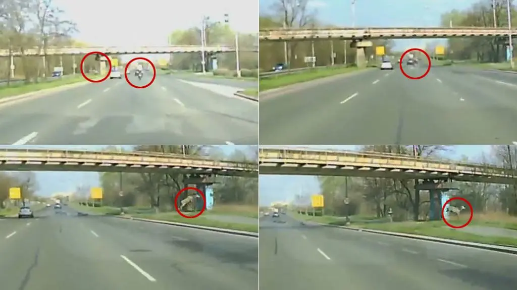 Jeleń strącił jadącego motocyklistę