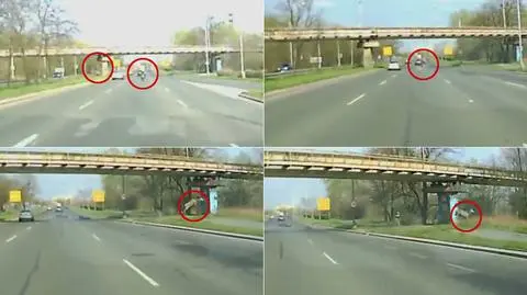 Jeleń strącił jadącego motocyklistę