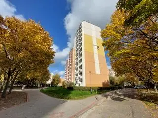 Mieszkańcy cieszą się, że ich osiedle jest tak zielone