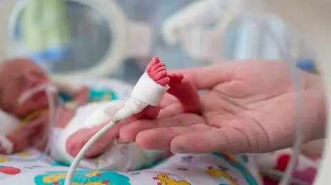 17 listopada obchodzimy Dzień Wcześniaka 