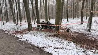 Kierowca usłyszał zarzut spowodowania wypadku komunikacyjnego