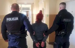 Gdańscy policjanci zatrzymali kobietę podejrzaną o zabicie kota