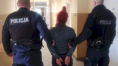 Kot wyrzucony z okna na trzecim piętrze. 46-letnia kobieta z zarzutem zabicia zwierzęcia