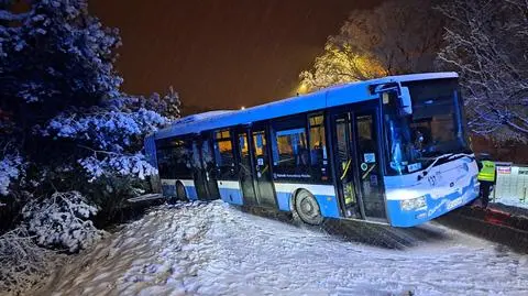 Autobus wypadł z drogi