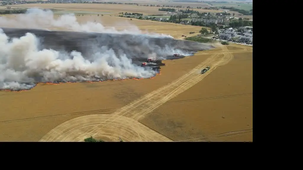 Pożar pola w Gortatowie