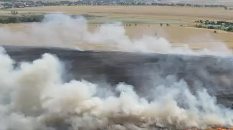 Pożar pola w Gortatowie