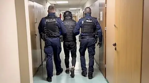 Podejrzanemu grozi 10 lat więzienia.