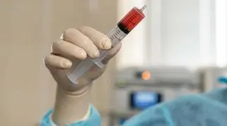 Jak rodziła się polska transplantologia szpiku? "Wielu hematologów nie wierzyło w jej skuteczność"