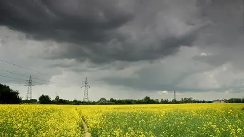 Zagrzmi i popada