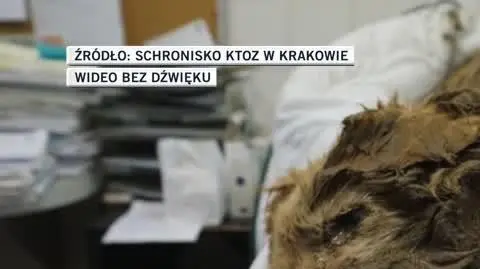 bartlomiej slideshow 