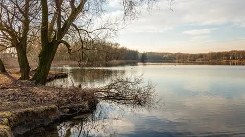 Pogoda na weekend. Zrobi się nieco chłodniej, ale za to wyjrzy słońce