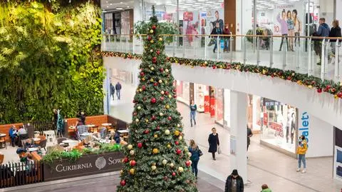 gdansk choinka market galeria handlowa shutterstock_2236754341
