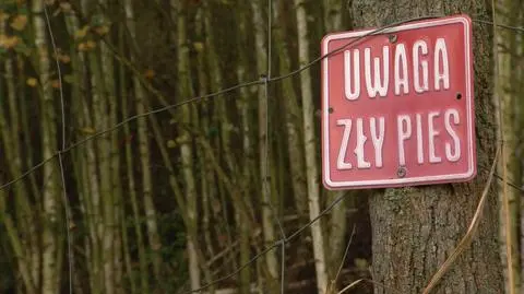 Strzelnica w Raculi
