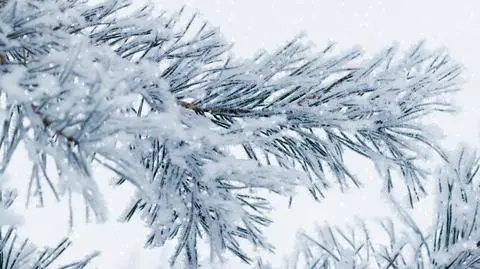 Nie tylko śnieg. Ostrzeżenia w 12 województwach