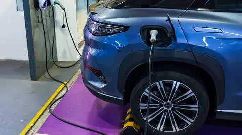 shutterstock_2677174445