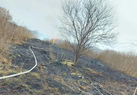 12-latkowie podpalili kartkę, wybuchł pożar łąki