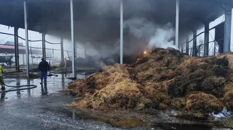 Pożar hali w Facimiechu