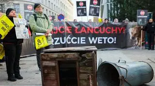 Uczestnicy Marszu dla Zwierząt