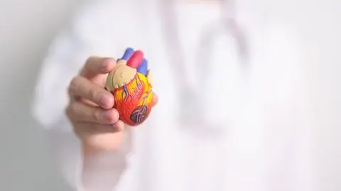 shutterstock_2498435047