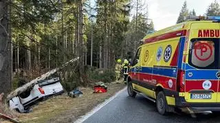 Auto wpadło w poślizg i dachowało w lesie