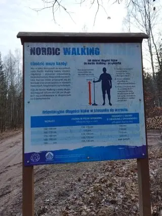 Jest tu szlak nordic walking 