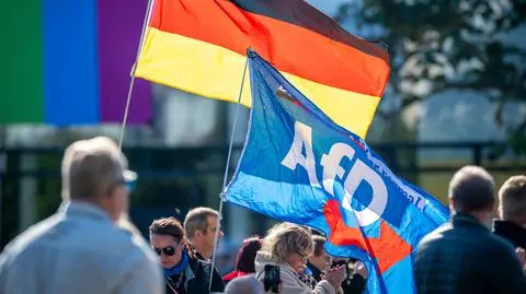 Alternatywa dla Niemiec, AfD, Niemcy