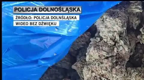 dolnoslaska