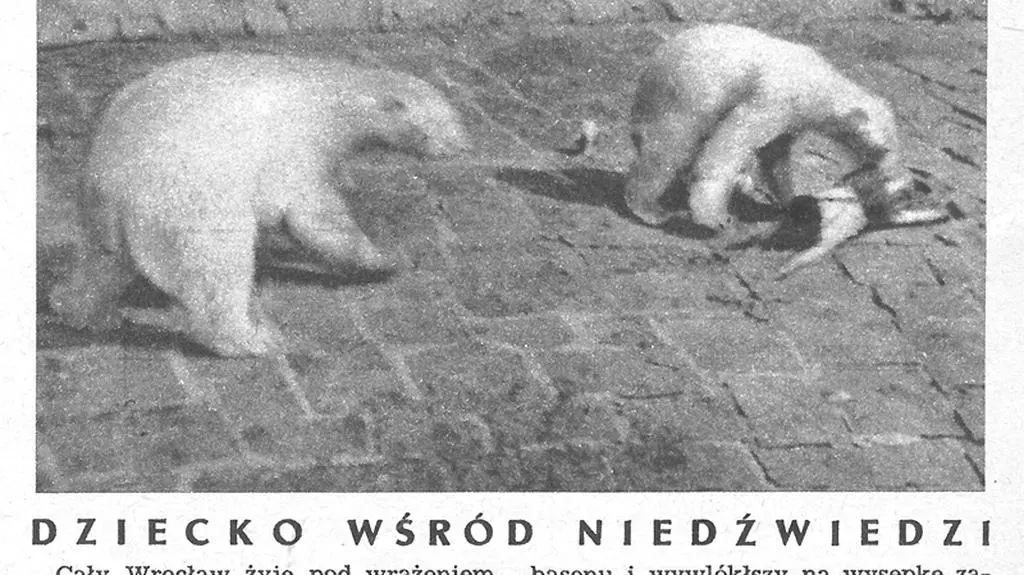 Wypadek, który miał miejsce w roku 1959