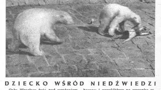 Wypadek, który miał miejsce w roku 1959