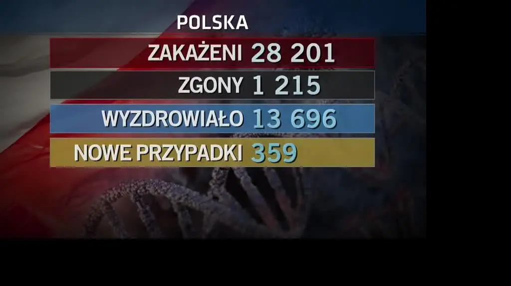 przypadki 