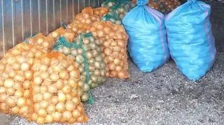 Cebula była już zapakowana w worki