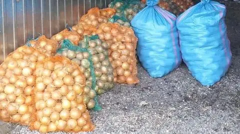 Cebula była już zapakowana w worki