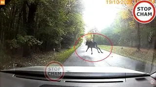 Do zdarzenia doszło pod Skierniewicami 