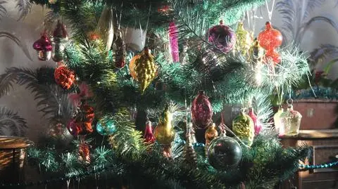 shutterstock_2249950931