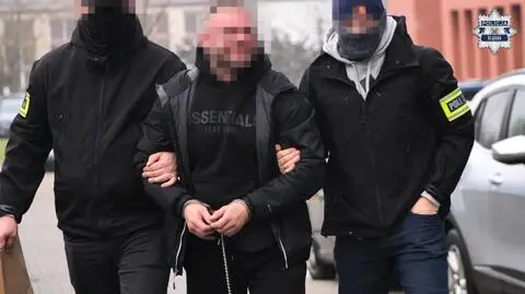 Torcida to grupa skupiona wokół pseudokibiców Górnika Zabrze oraz GKS Katowice.