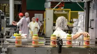 Zakład przetwórstwa warzyw i owoców Dawtona w Lesznie. Sierpień 2015 r.