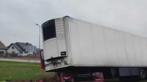Projekt bez nazwy