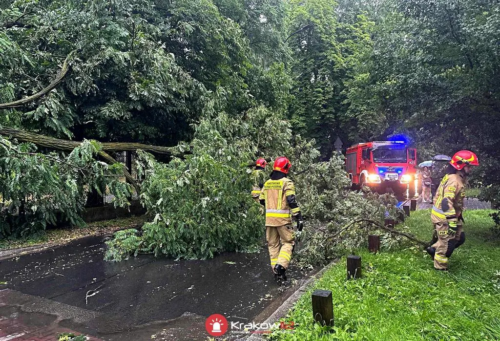 Konar drzewa spadł na samochód