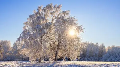 shutterstock_2695876051