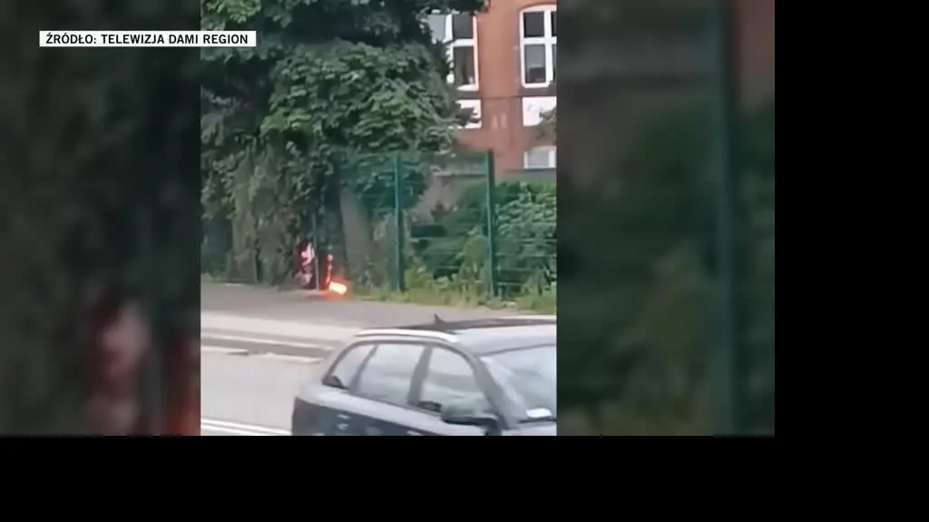 Telewizja Dami Region