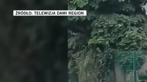 Telewizja Dami Region