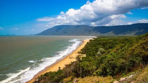  Wangetti  shutterstock_2520388793